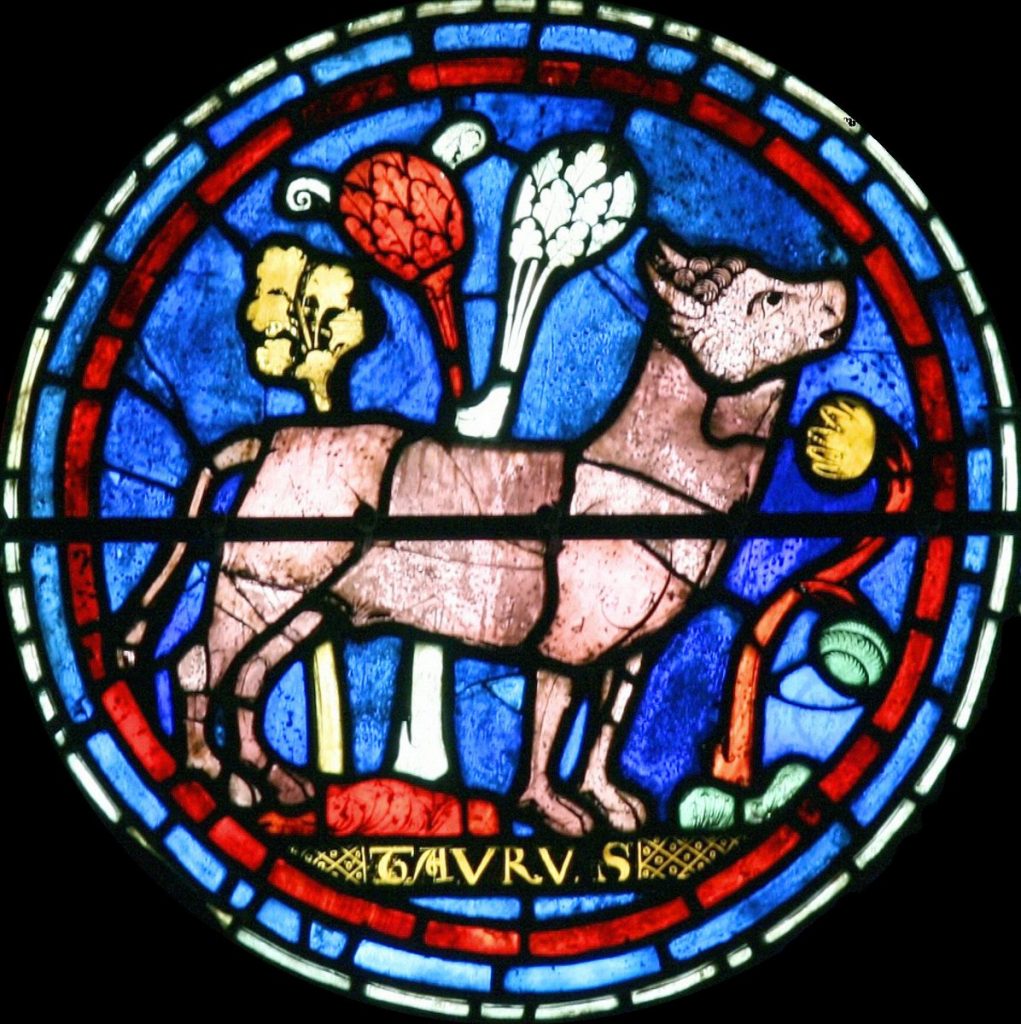 vetrata di Chartres
